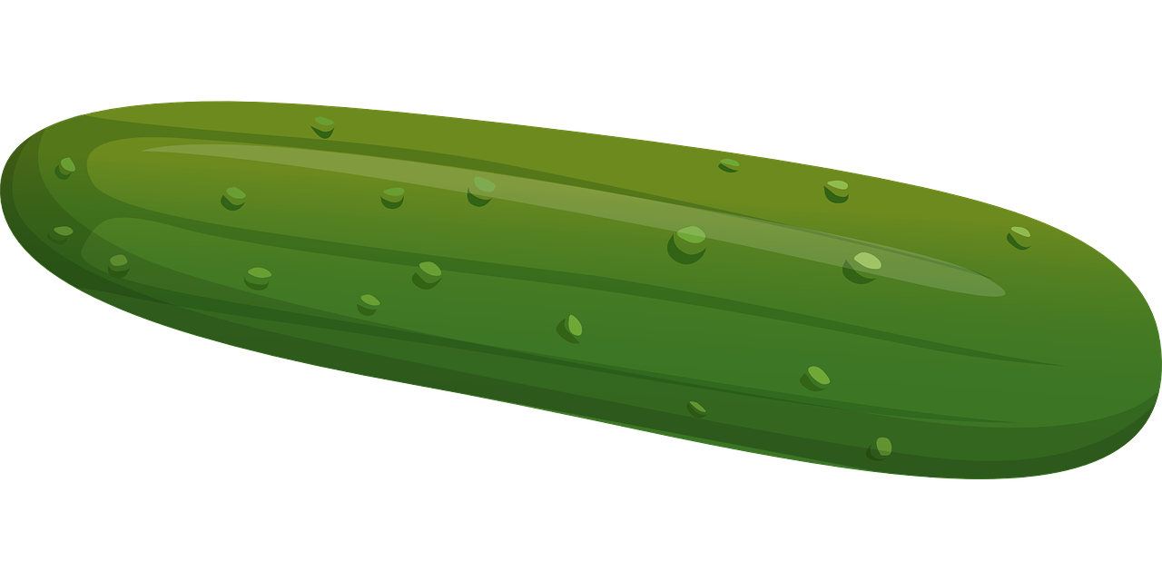 Gurke